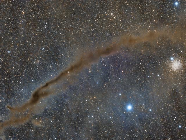 NGC 4372 and the Dark Doodad