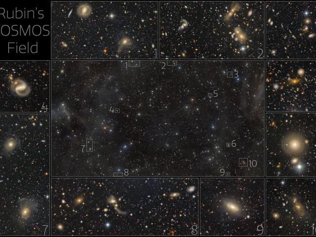 Rubin’s Cosmos Field
