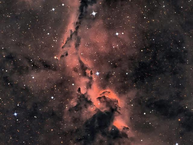 The Elephant’s Trunk in Cepheus