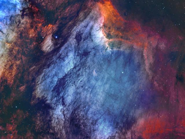The Pelican Nebula in Gas, Dust, and Stars
