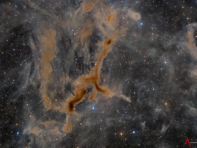 LDN 1295: The Giraffe Nebula