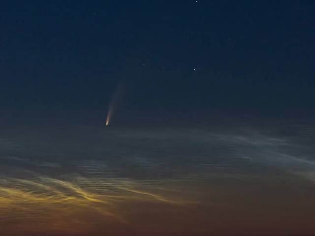 Comet NEOWISE Rising over the Adriatic Sea
