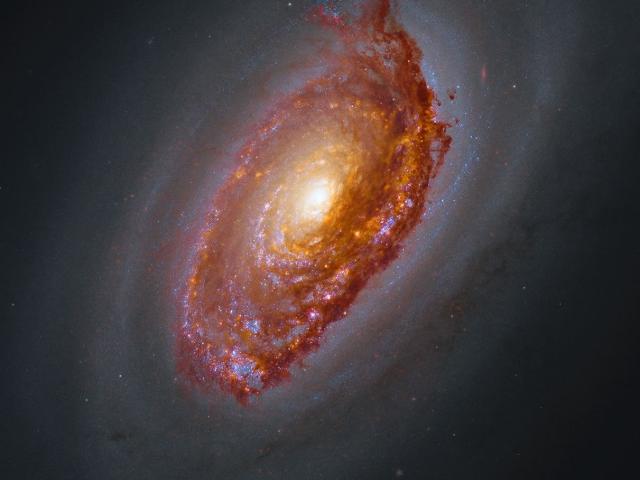 Webb’s View of M64