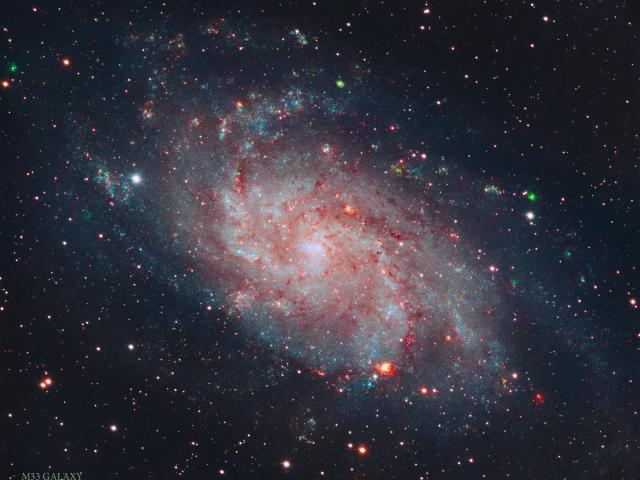 Messier 33: The Triangulum Galaxy