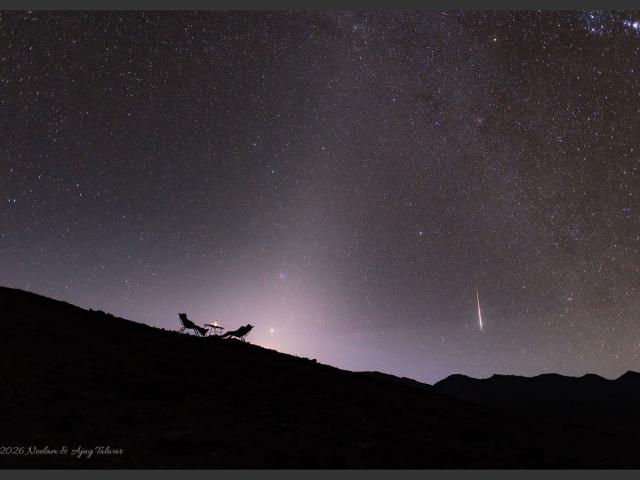 A Zodiacal Night
