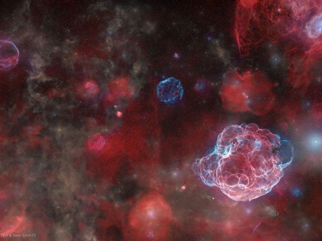 The Ghosts of Five Supernovas