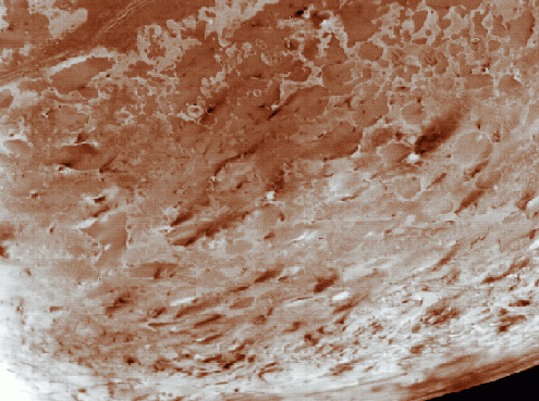 Geysers on Triton