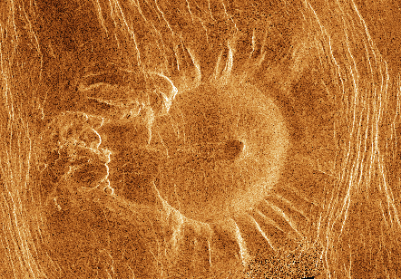 A Venusian Tick