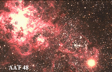 The Tarantula and the Supernova