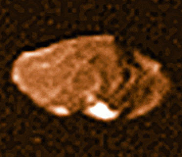 Jupiter’s Moon Amalthea