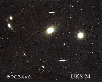 Virgo Cluster Galaxies