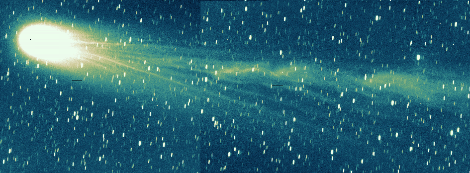 Comet Hyakutake’s Past and Future
