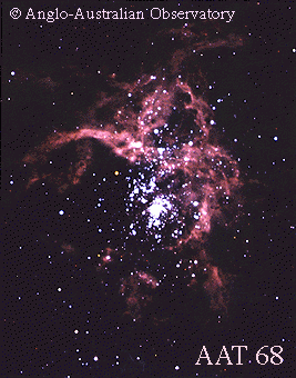 The Violent Star Cluster 30 Doradus