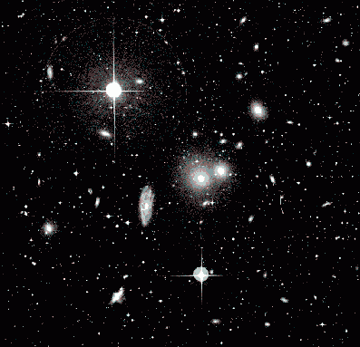 The Hydra Cluster of Galaxies