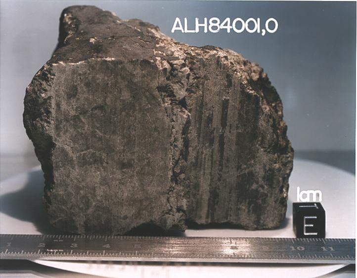 A Meteorite From Mars