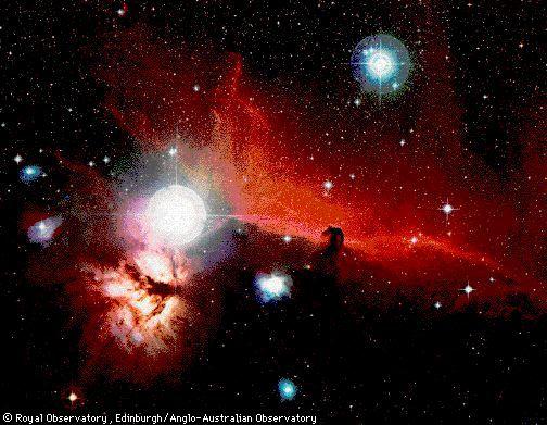 Orion’s Horsehead Nebula