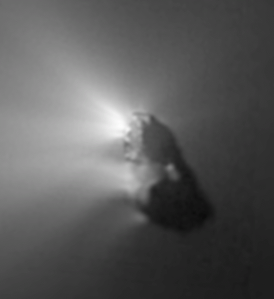 Comet Halley’s Nucleus