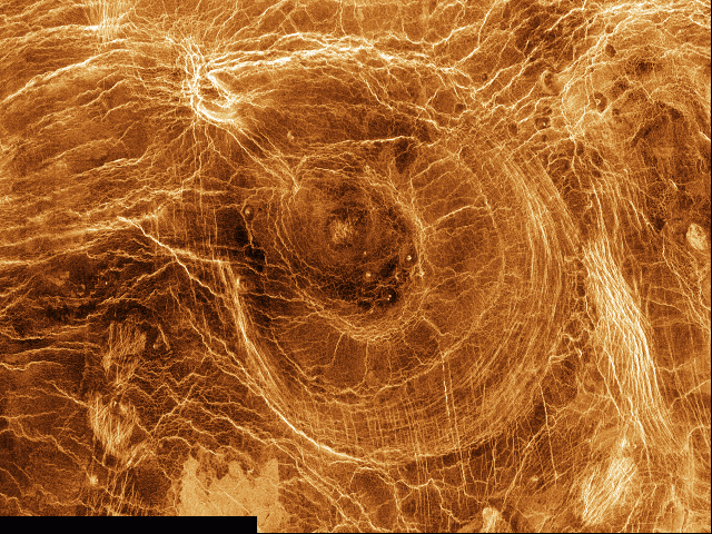 Arachnoids on Venus
