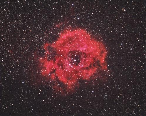 The Rosette Nebula