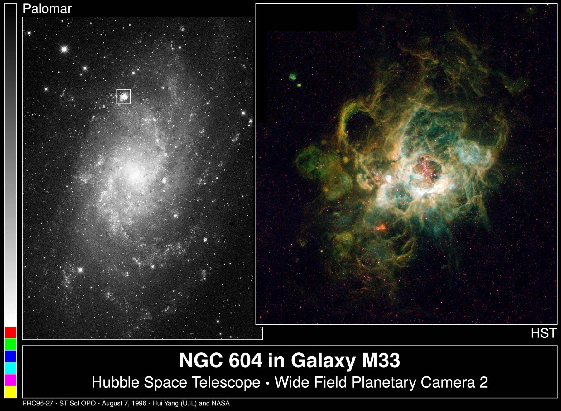 NGC 604: Giant Stellar Nursery
