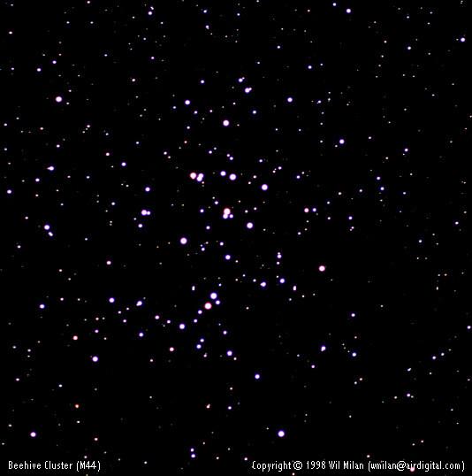 M44: A Beehive of Stars