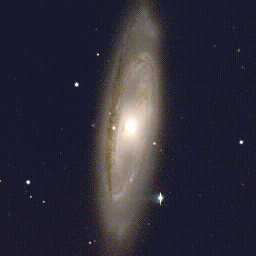 M65 Without Moth