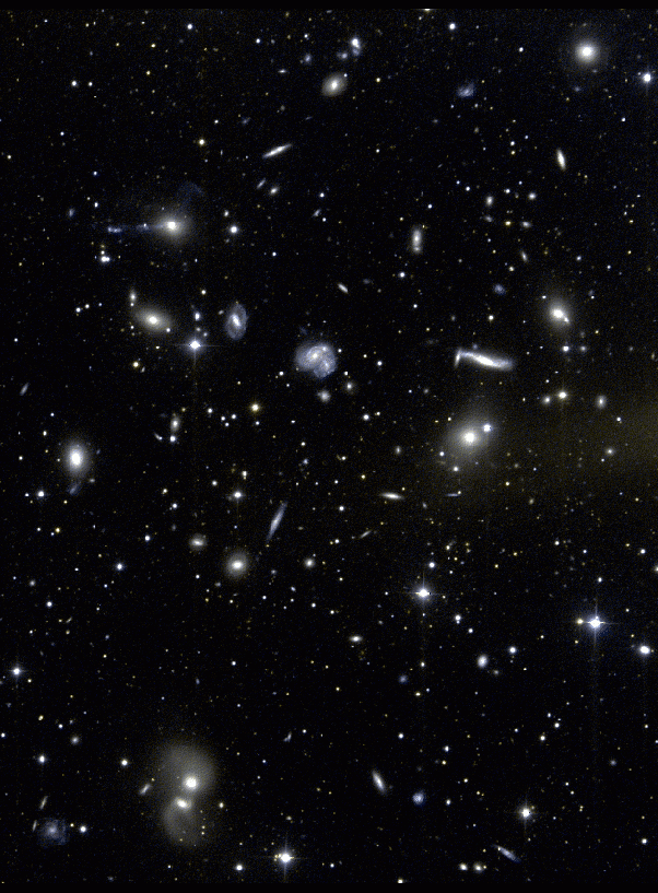 Hercules Galaxies
