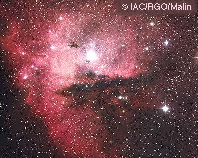 NGC 281: Cluster, Clouds, and Globules