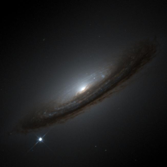 Supernova 1994D and the Unexpected Universe