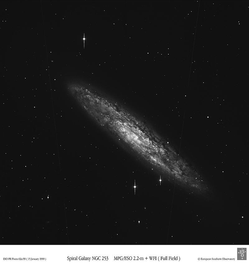 Spiral Galaxy NGC 253