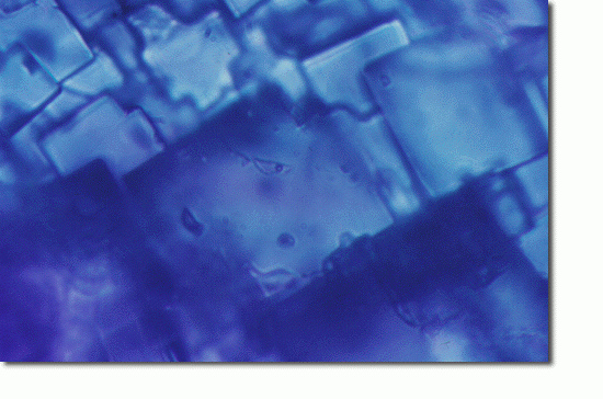 Water Found in Space Rock
