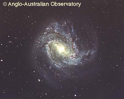 M83: A Barred Spiral Galaxy