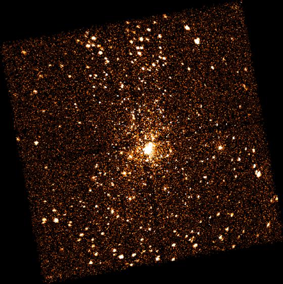 X-Ray Stars Of Orion