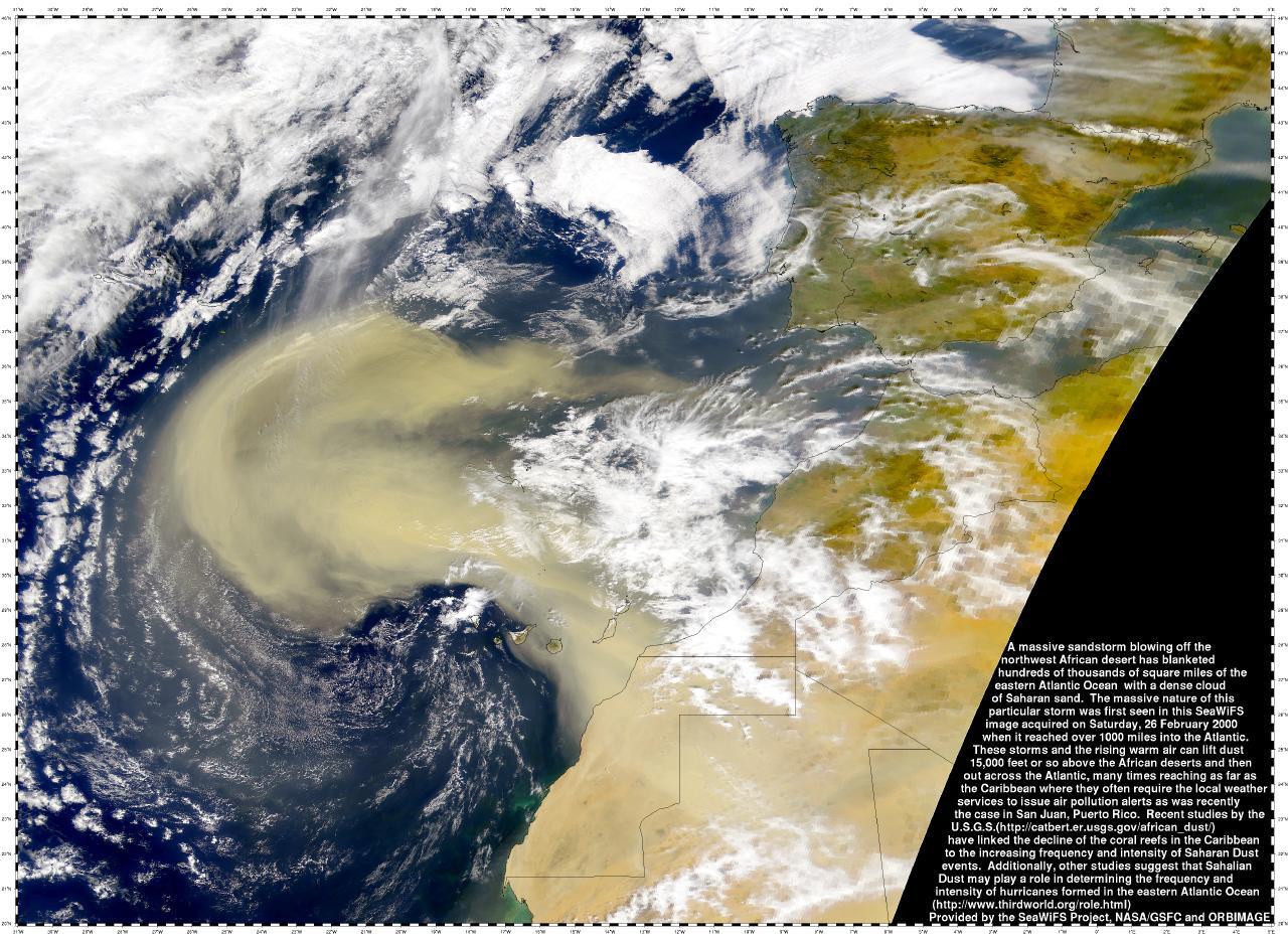Dust Storm on Planet Earth