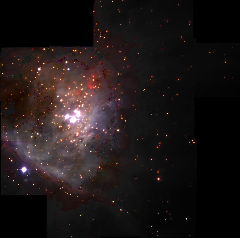 Free Floating Planets In Orion