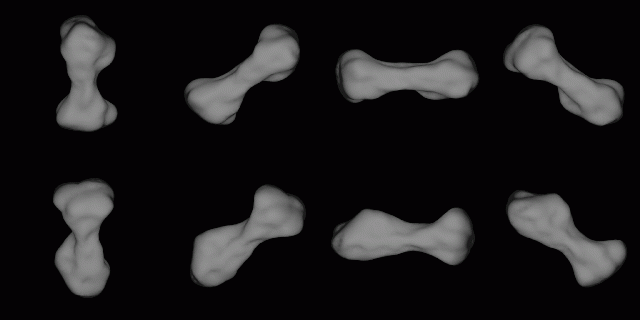 Dog-Bone Shaped Asteroid 216 Kleopatra
