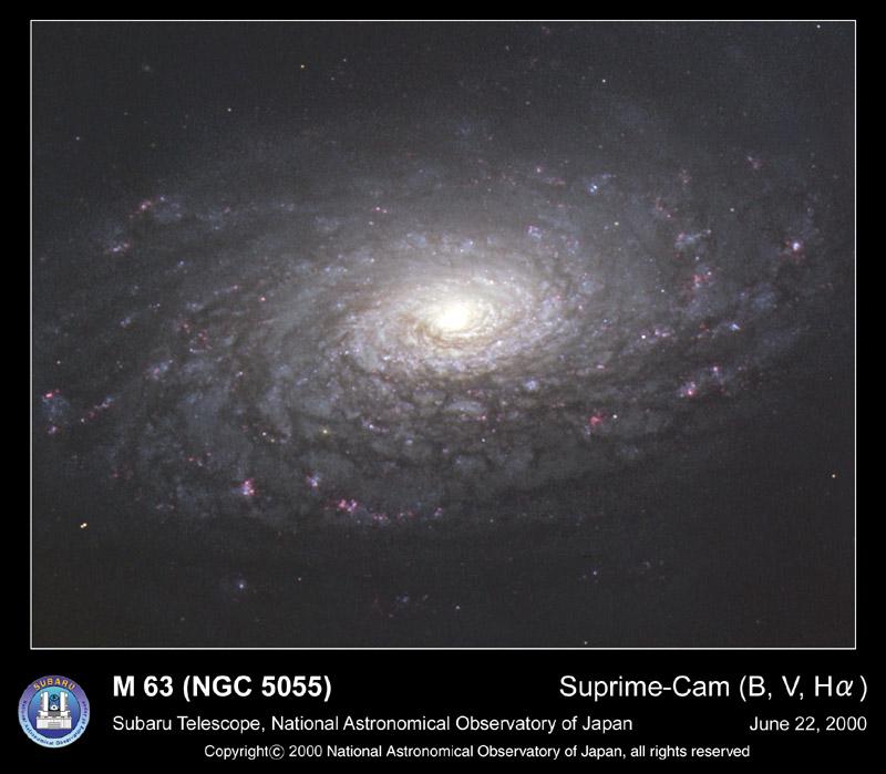 M63: The Sunflower Galaxy
