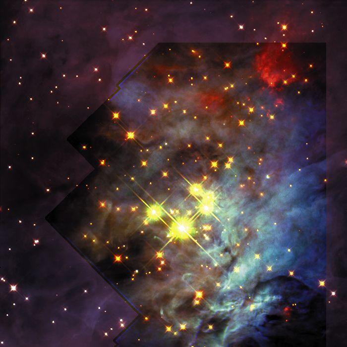 The Brown Dwarfs of Orions Trapezium