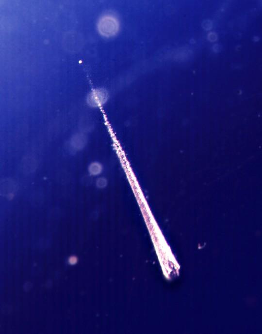 Catching Falling Stardust