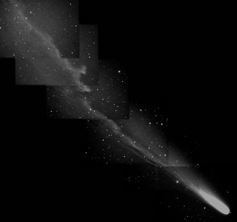 Comet Ikeya-Zhang’s Busy Tail