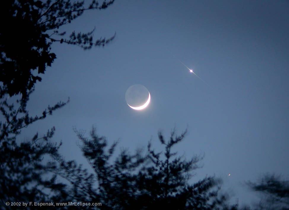 Love and War by Moonlight