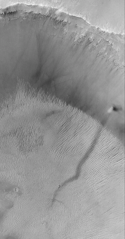 A Dust Devil on Mars
