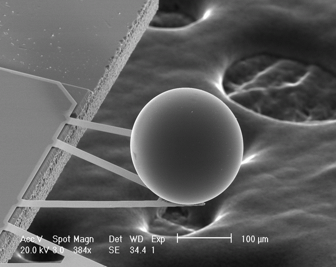 A Force from Empty Space: The Casimir Effect