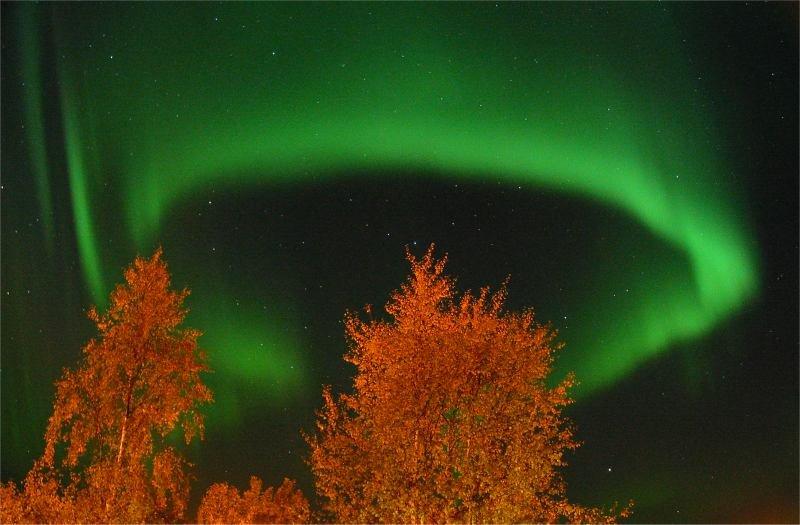 Aurora’s Ring