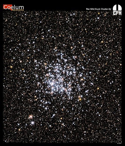 M11: The Wild Duck Cluster