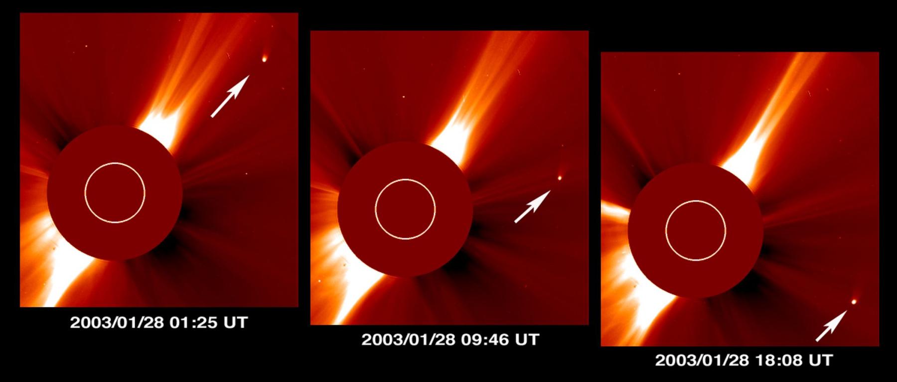 Comet Kudo-Fujikawa: Days in the Sun