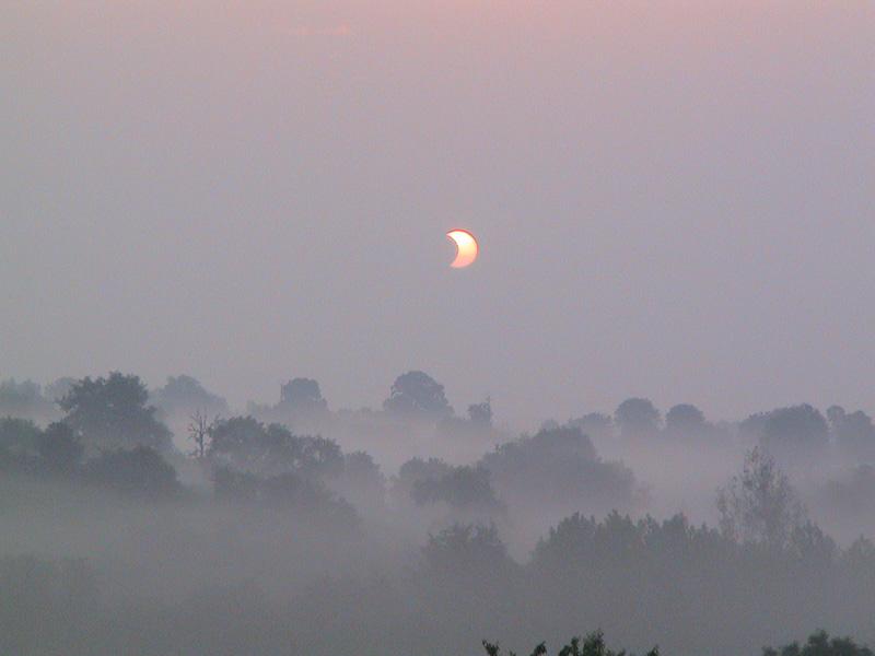 Eclipse in the Mist