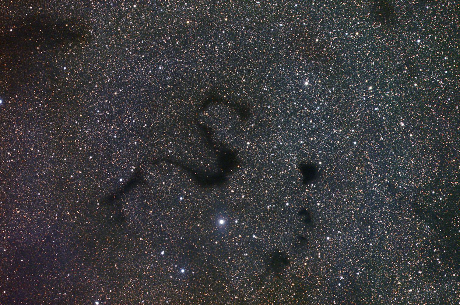 Snake in the Dark