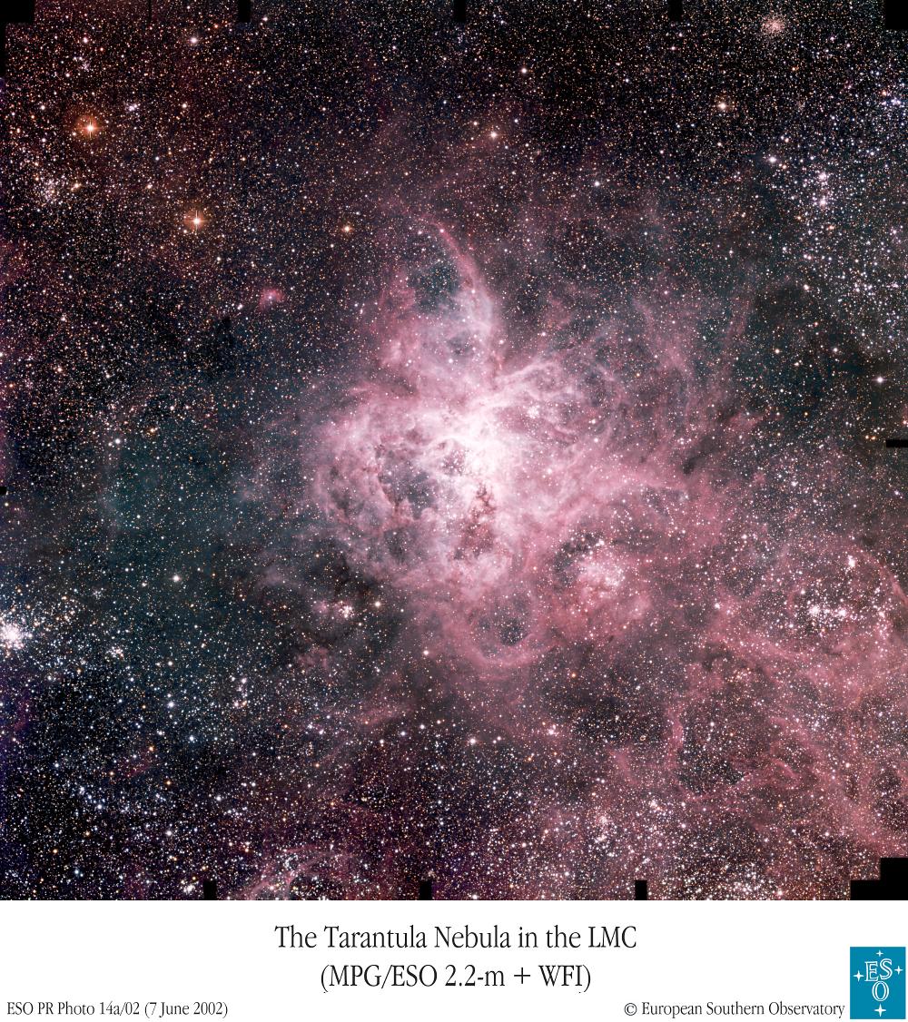 The Tarantula Zone