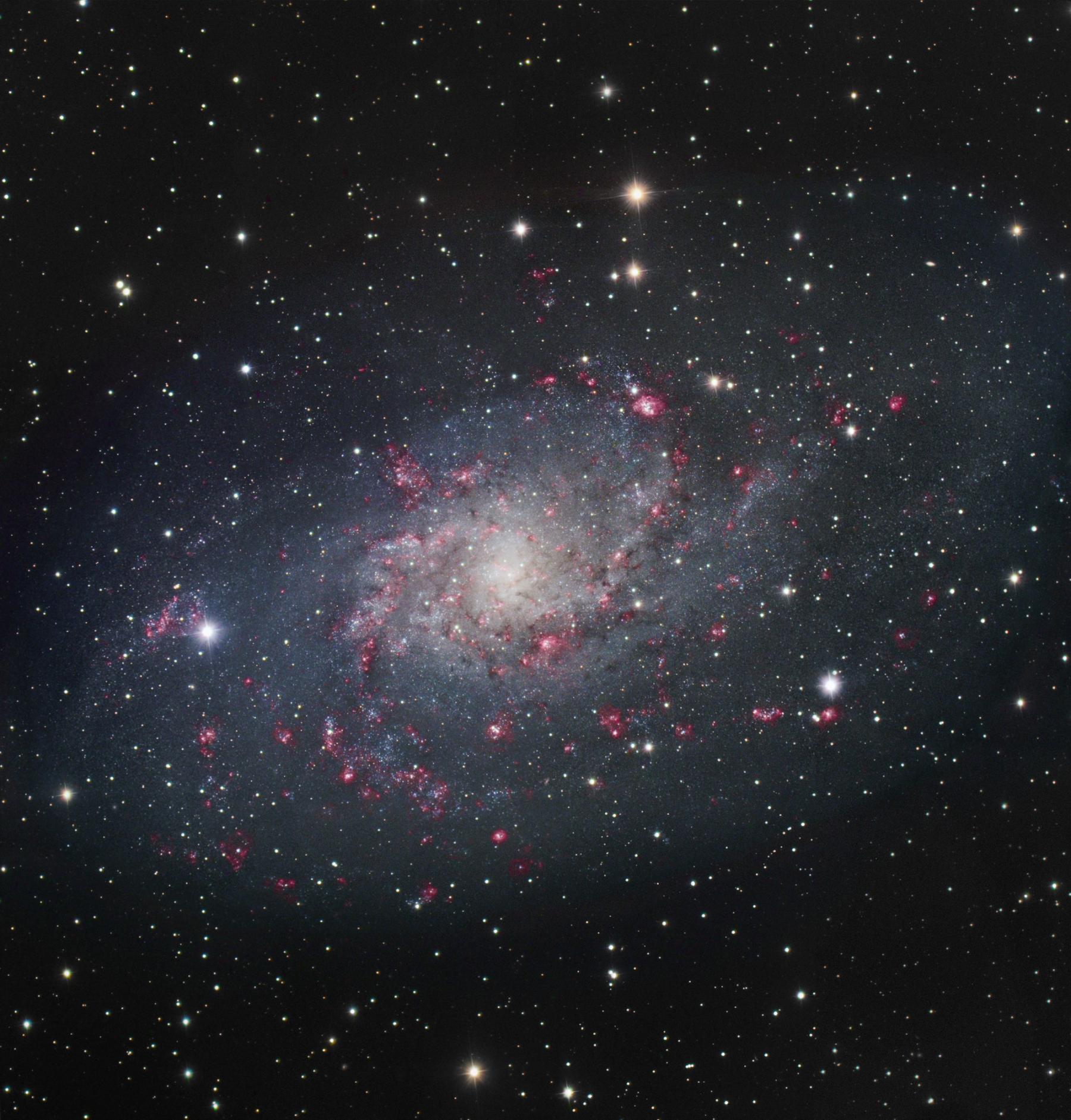M33: Spiral Galaxy in Triangulum